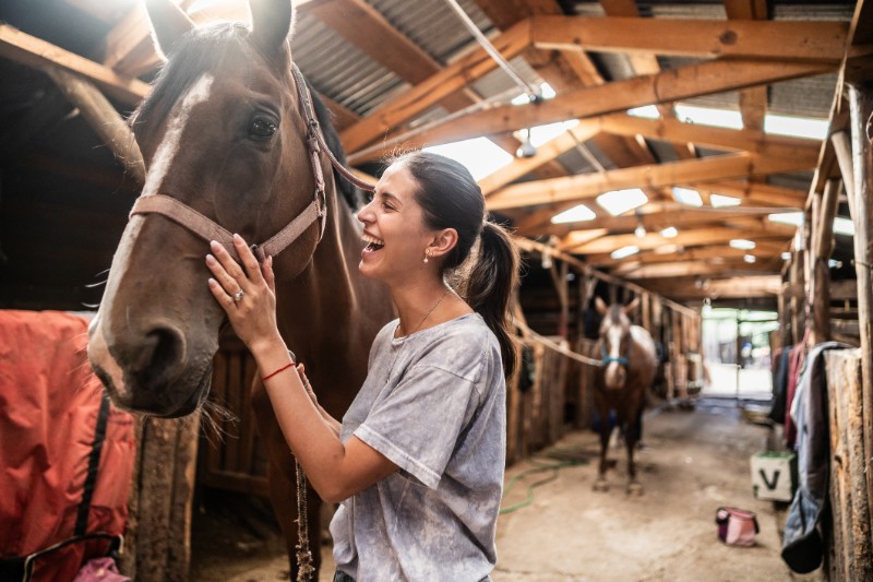 Equestrian Pursuits