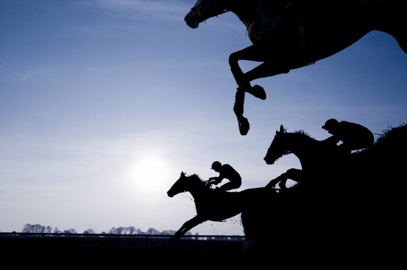 Race Horse Silhouette